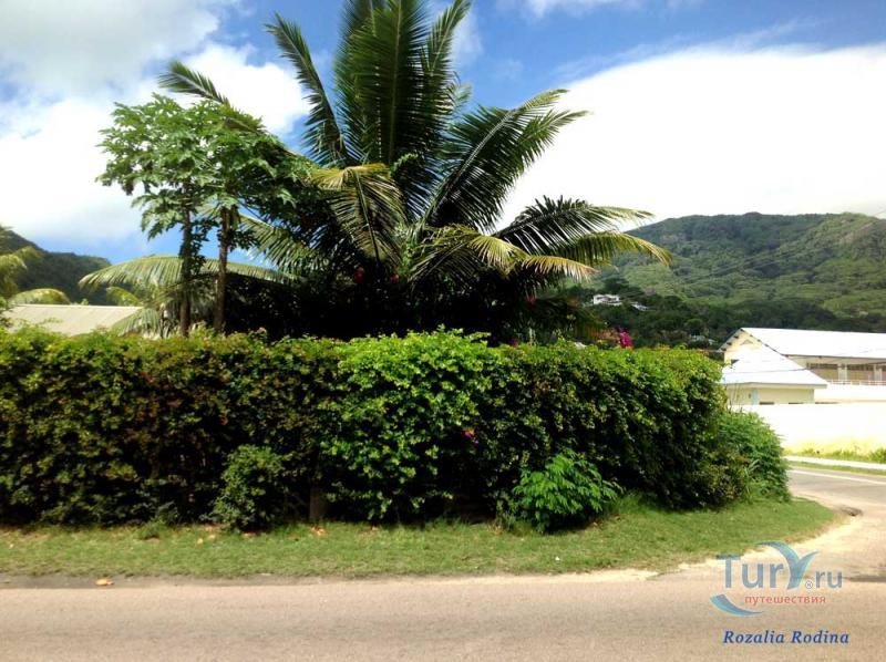 Пляж Анс-О-Пен и залив Тартл-Бей