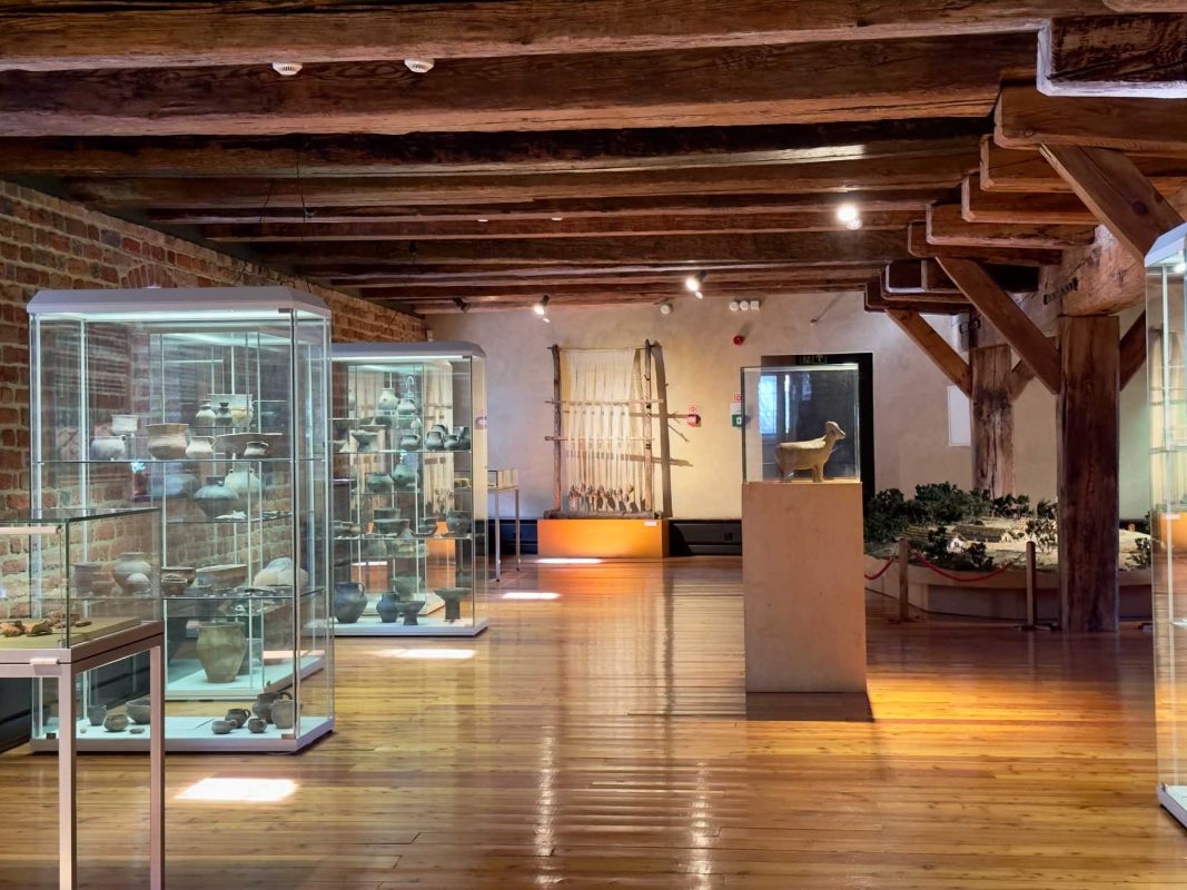 Вроцлавский археологический музей