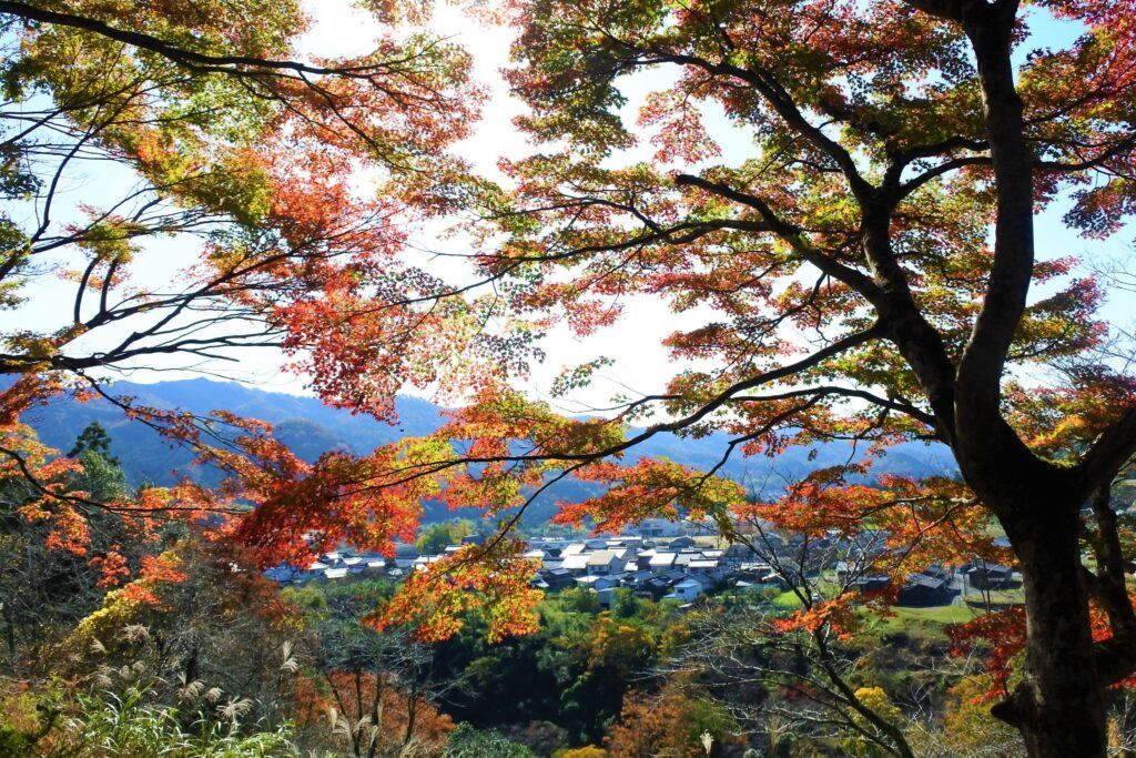 Парк замка Ямага