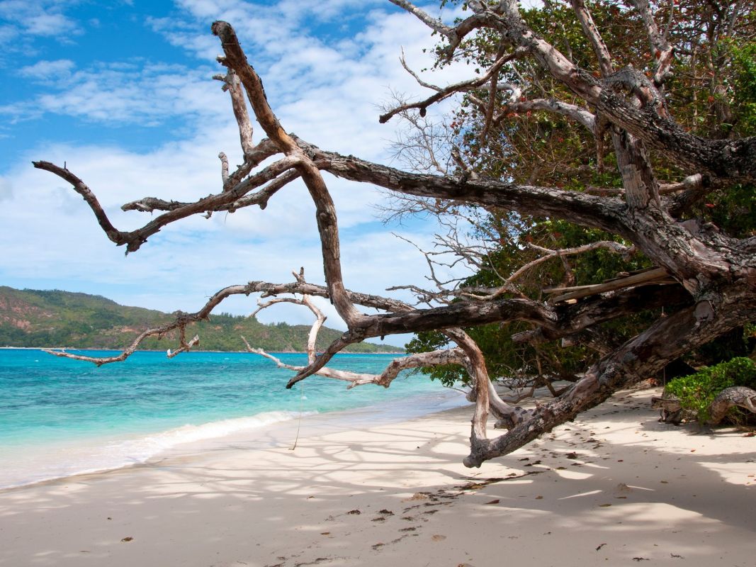 Пляж Анс Сент-Хосе