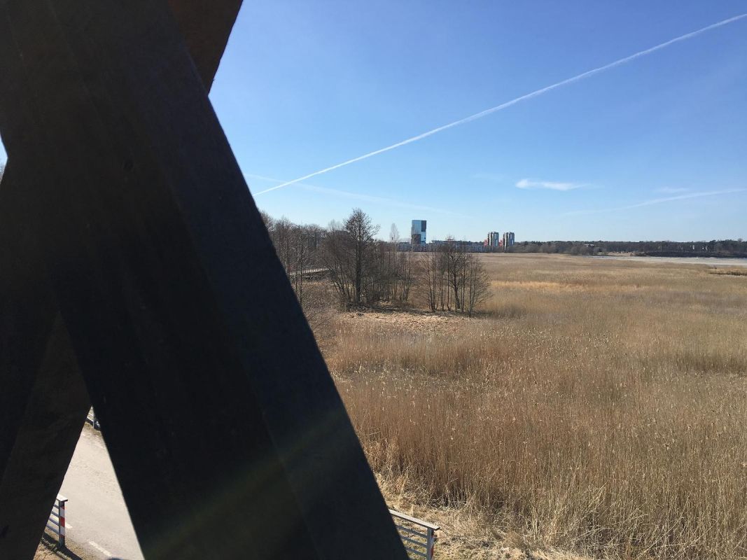 Смотровая вышка для наблюдения за птицами в Мустйыэ