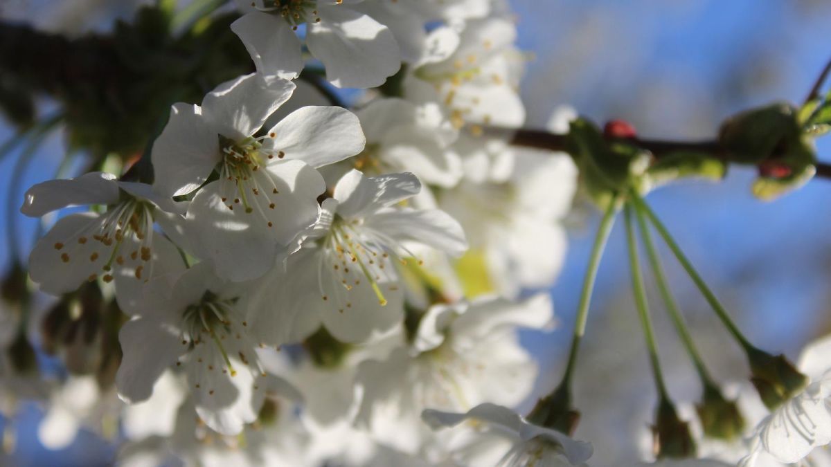 Винный хутор Яристе