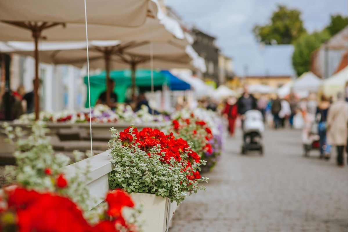 Старый город Хаапсалу