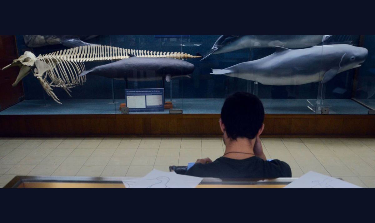 Аквариум Васко да Гама