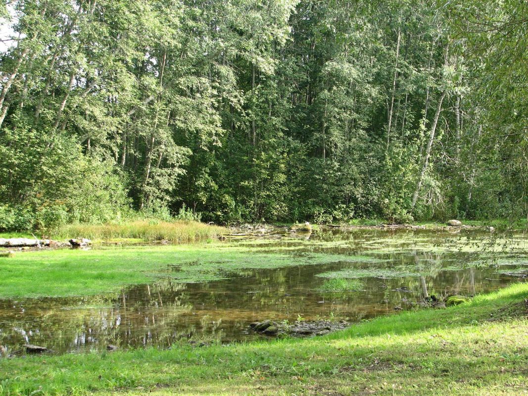 Колонна Свободы Симуна