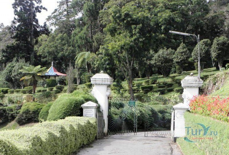 Ботанический Сад Хакгала