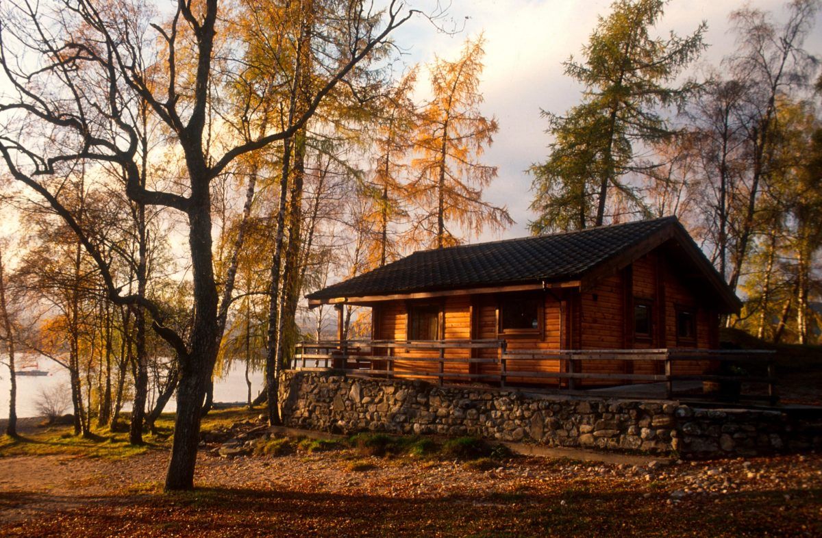 10 лесных каникул и ретритов в Шотландии фото