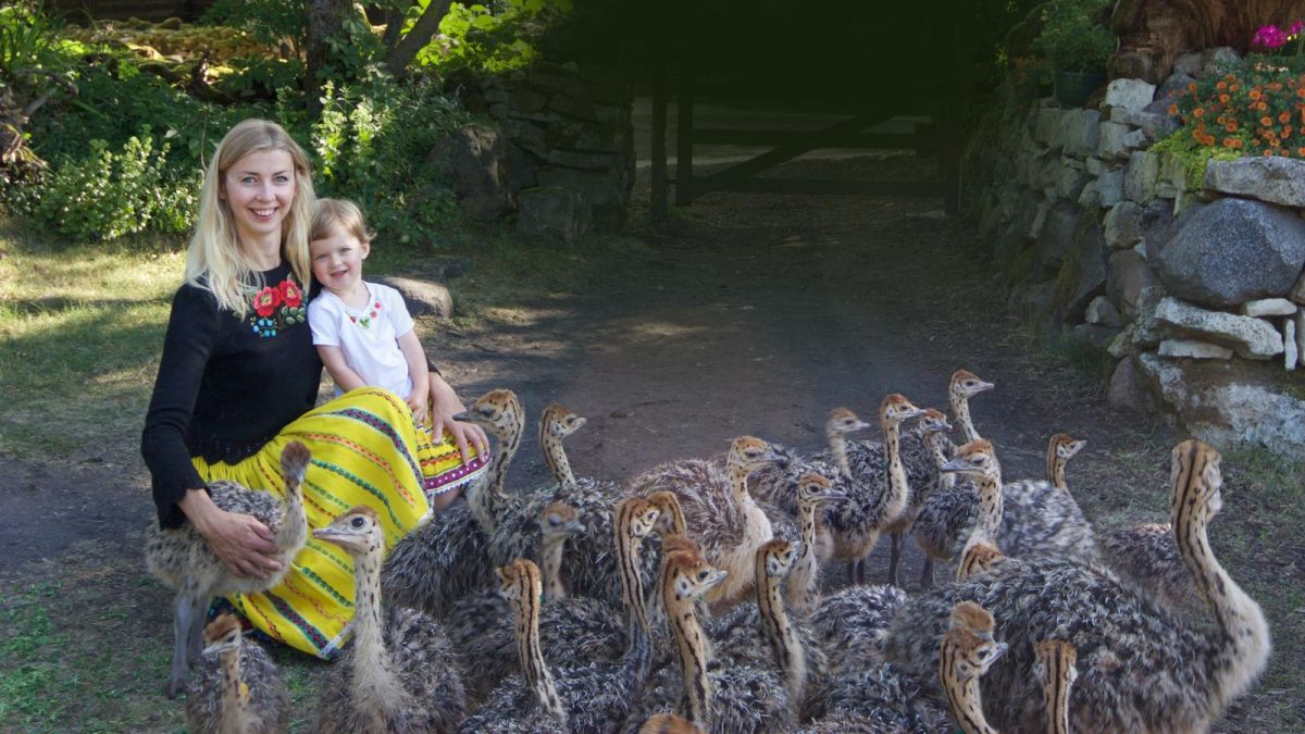 Страусиная ферма на острове Муху