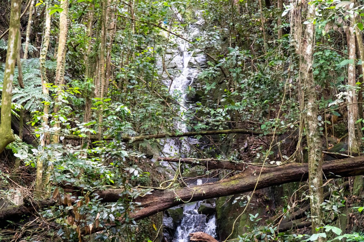 Национальный парк Морн Сейшелуа