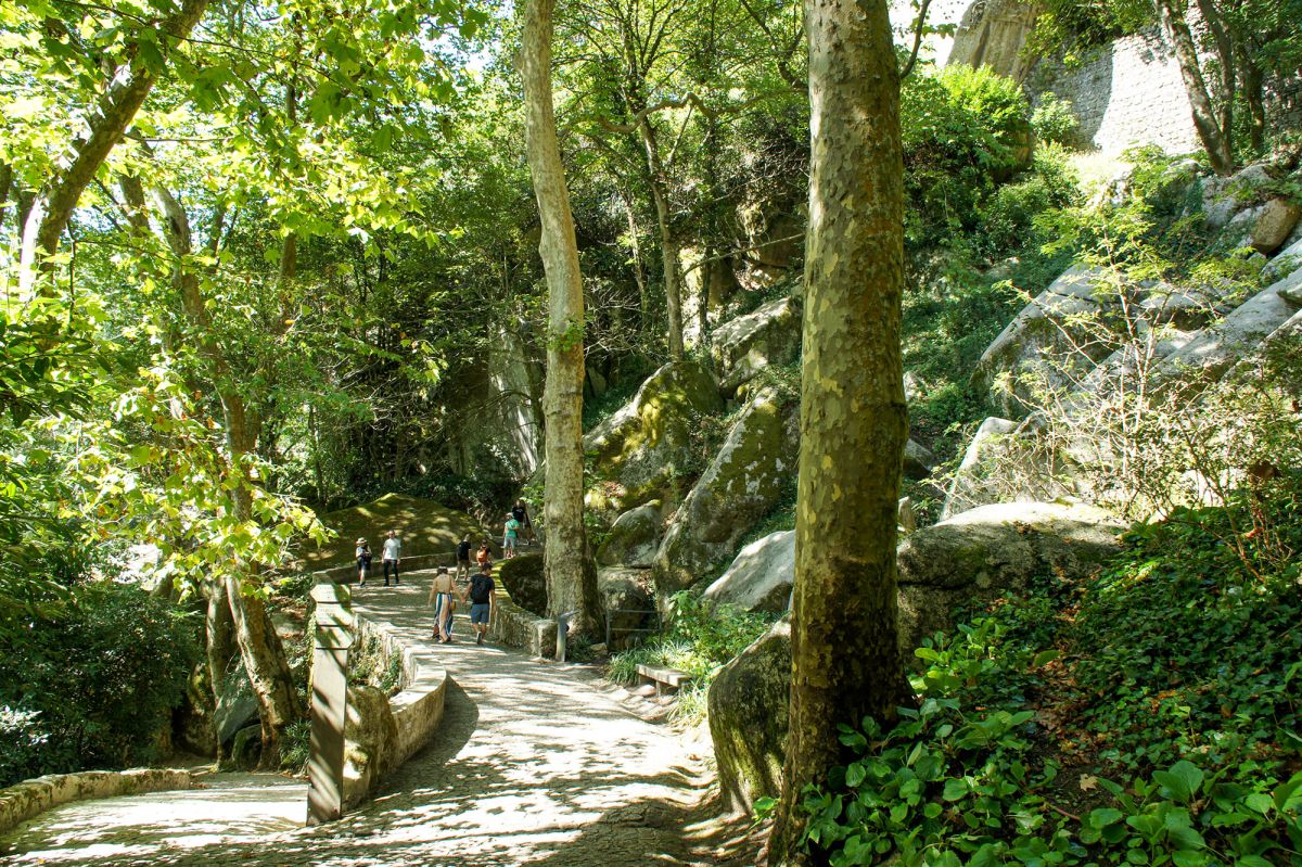 Ботанический сад Вале-дус-Лагуш-э-Патейра (Vale dos Lagos e Pateira)