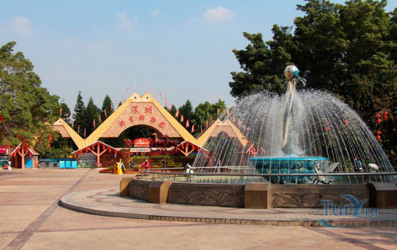 Сафари Парк Шэньчжэнь