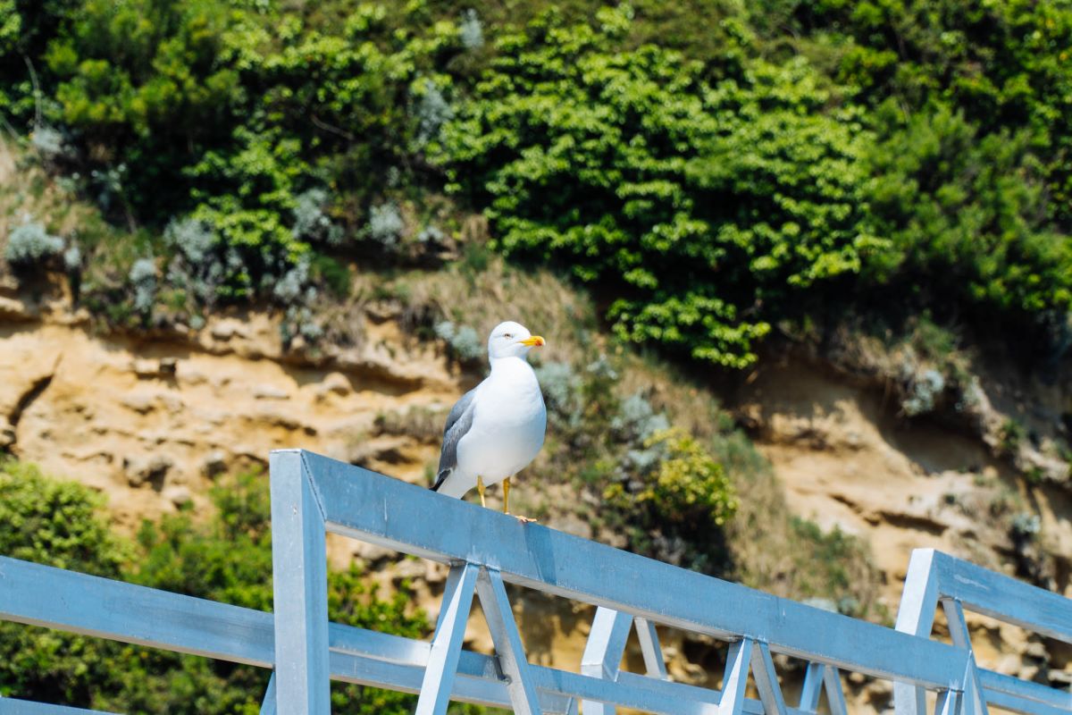 Рыбацкий порт