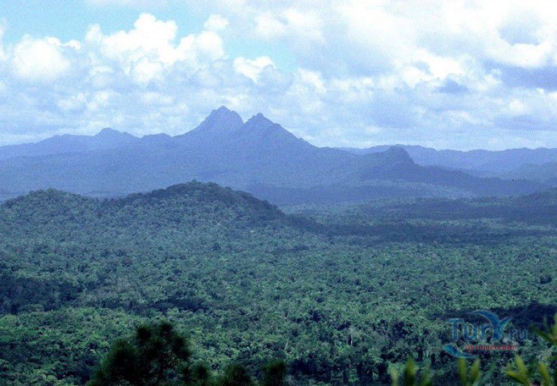 Заповедник Живой Природы Бассейн Кокскомб