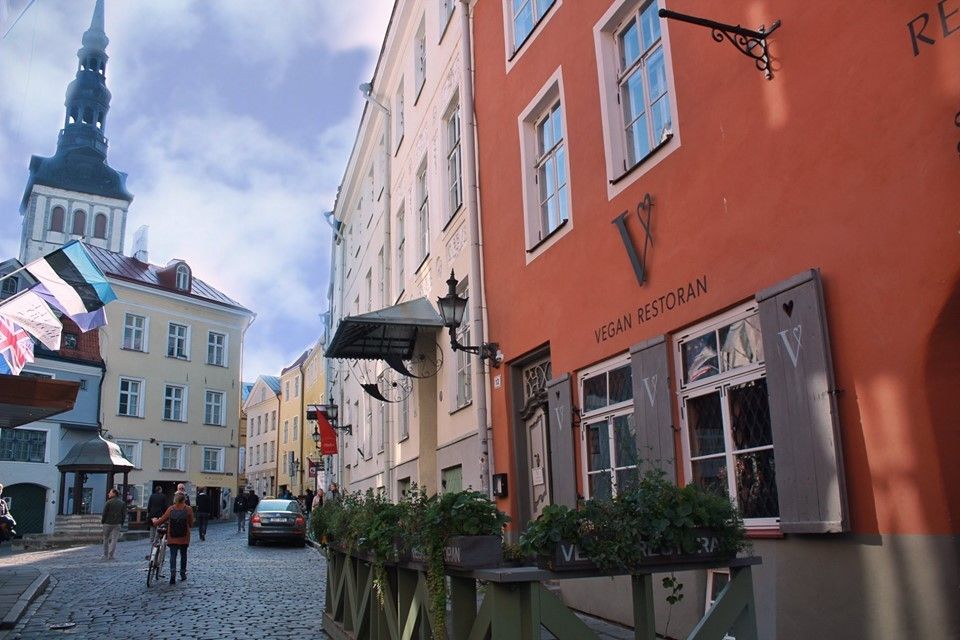 Веганский ресторан V