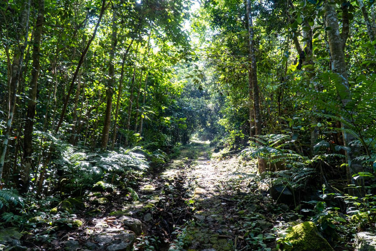 Салази Трейл