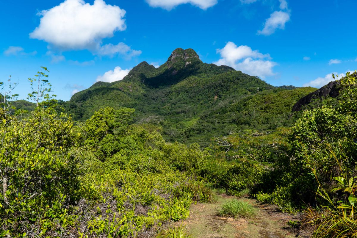 Салази Трейл