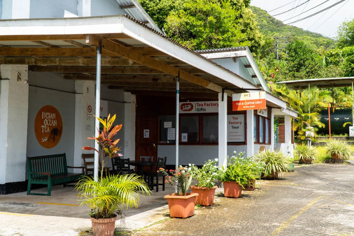 Чайная фабрика