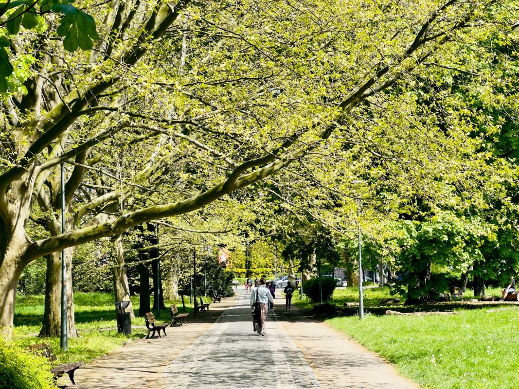 Парк Юлиуша Словацкого