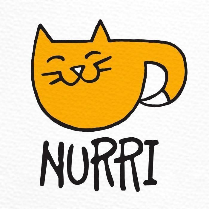 Кошачье кафе Nurri