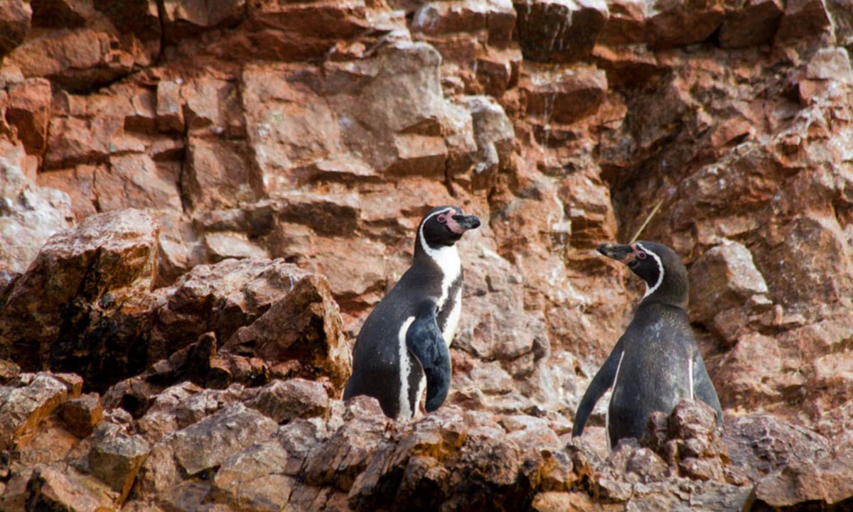 Острова Бальестас