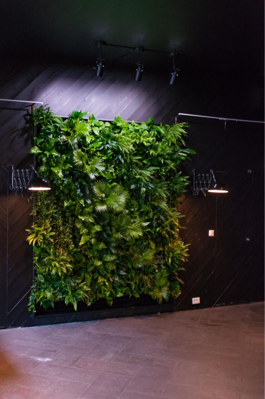 Бар Infusion Mixology