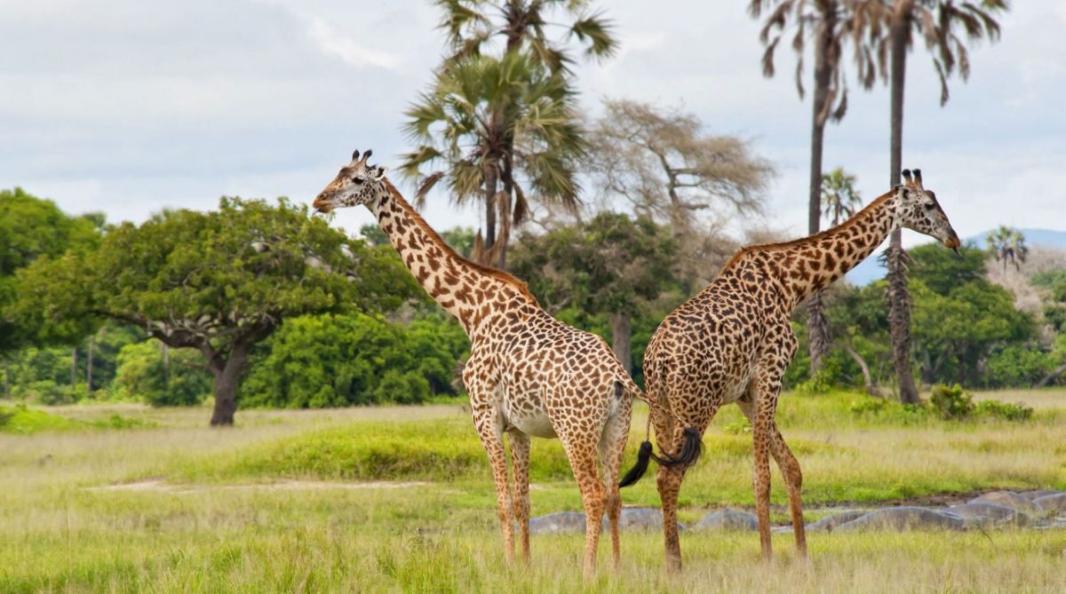 Национальный парк Катави