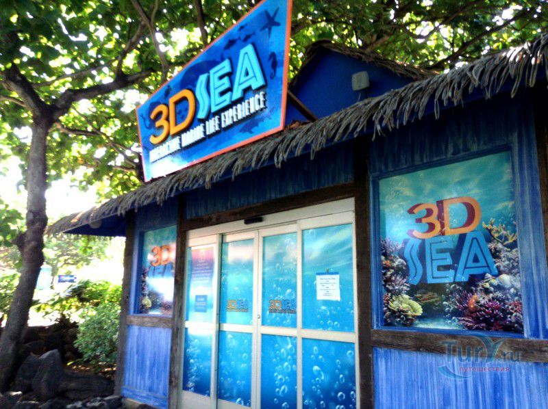 Парк Морской жизни Sea Life Park на о.Оаху