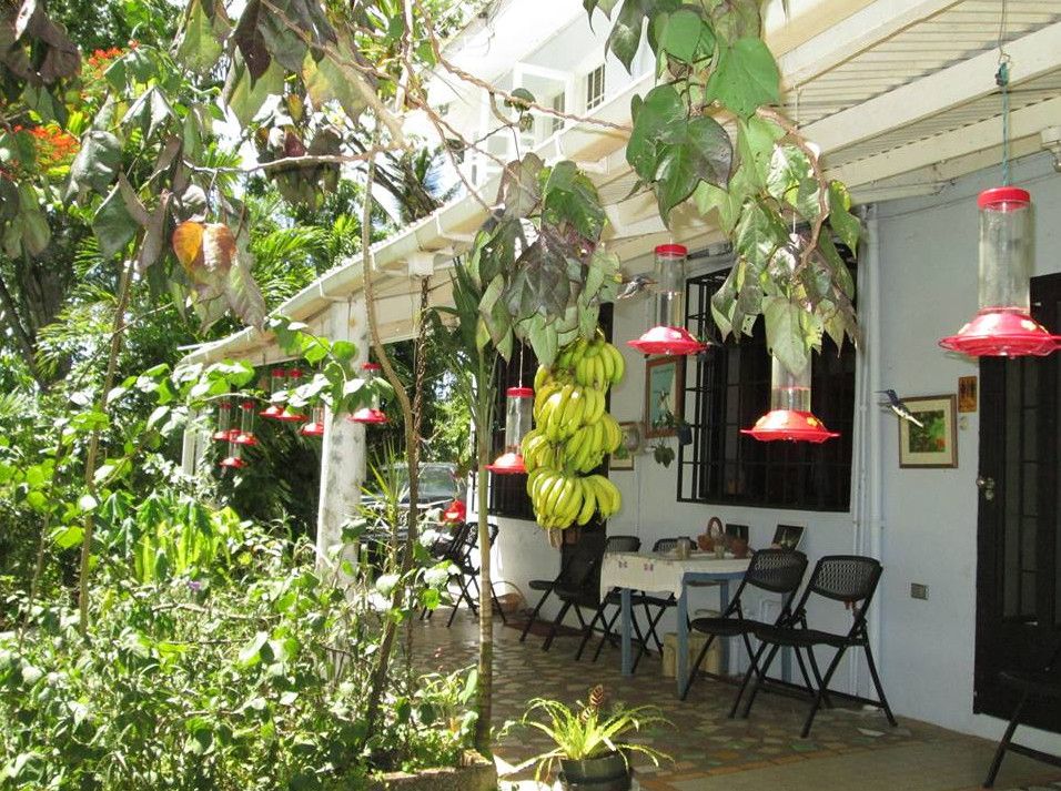 Ферма и Природный Заповедник Приключения  (Adventure Farm & Nature Reserve)