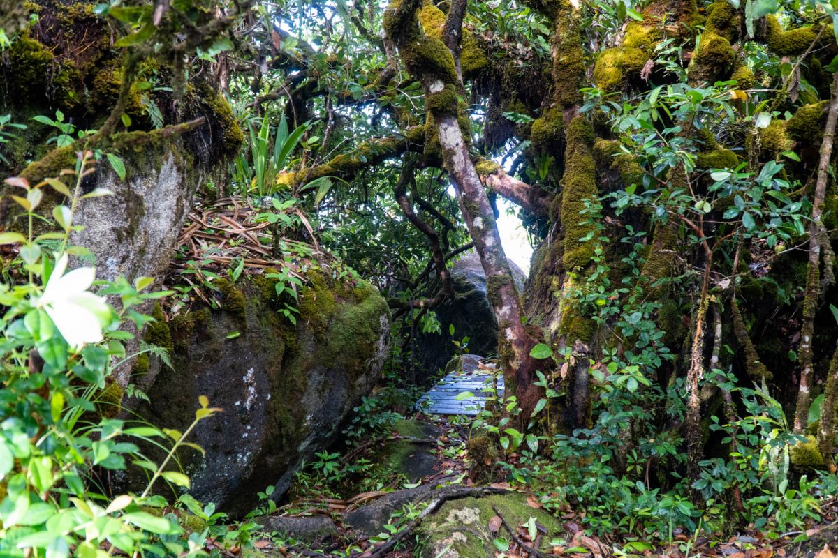 Смотровая площадка Морн Блан