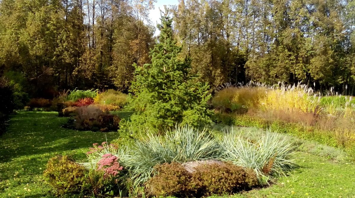 Ботанический сад имени В.Н. Ржавитина 