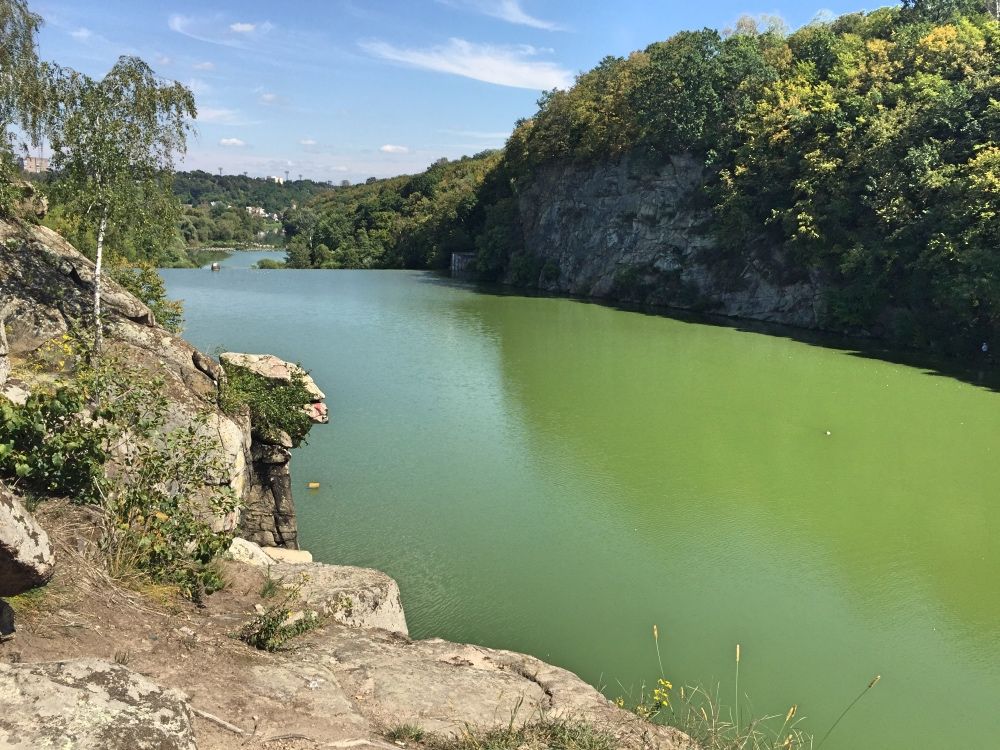 Голова Чацкого