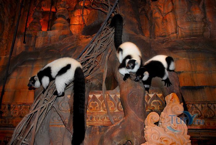 Парк Пхукет Фантазия