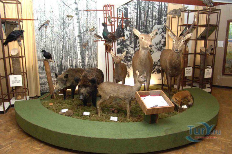 Мостовский государственный музей «Лес и человек»