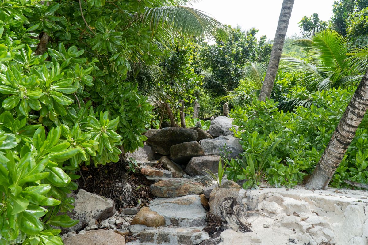 Пляж Петит Анс, Маэ