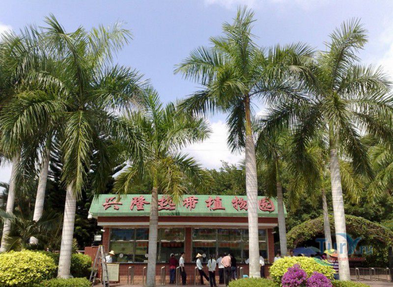 Тропический Ботанический Сад Синлун