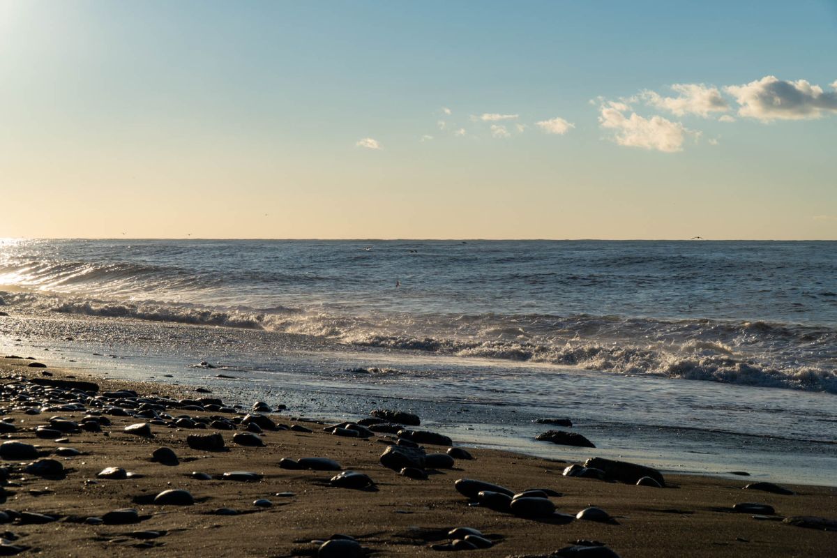 Приморский парк (Батумский бульвар)
