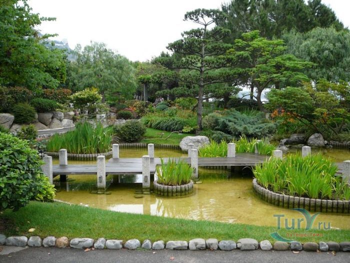 Королевский Японский сад
