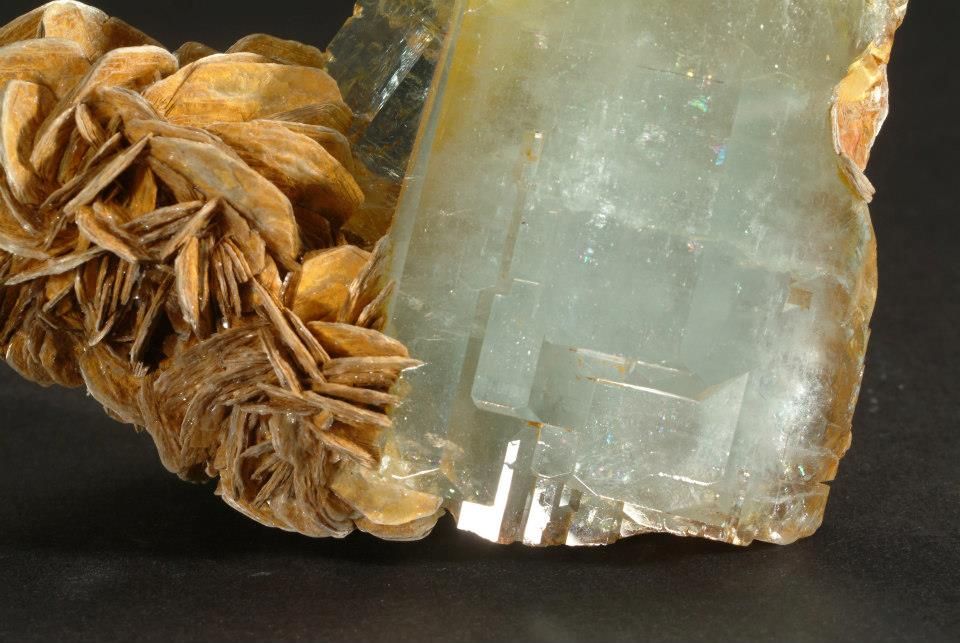 Geosvět – галерея минералов и ископаемых