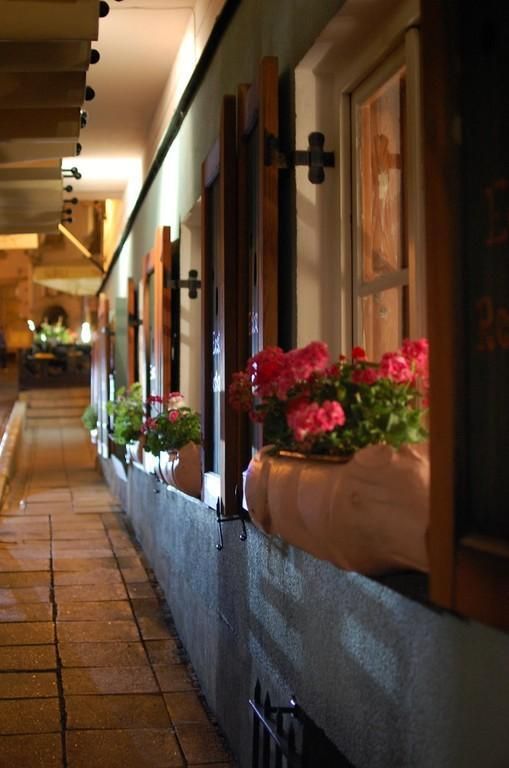 Харчевня Kuldse Notsu Kõrts