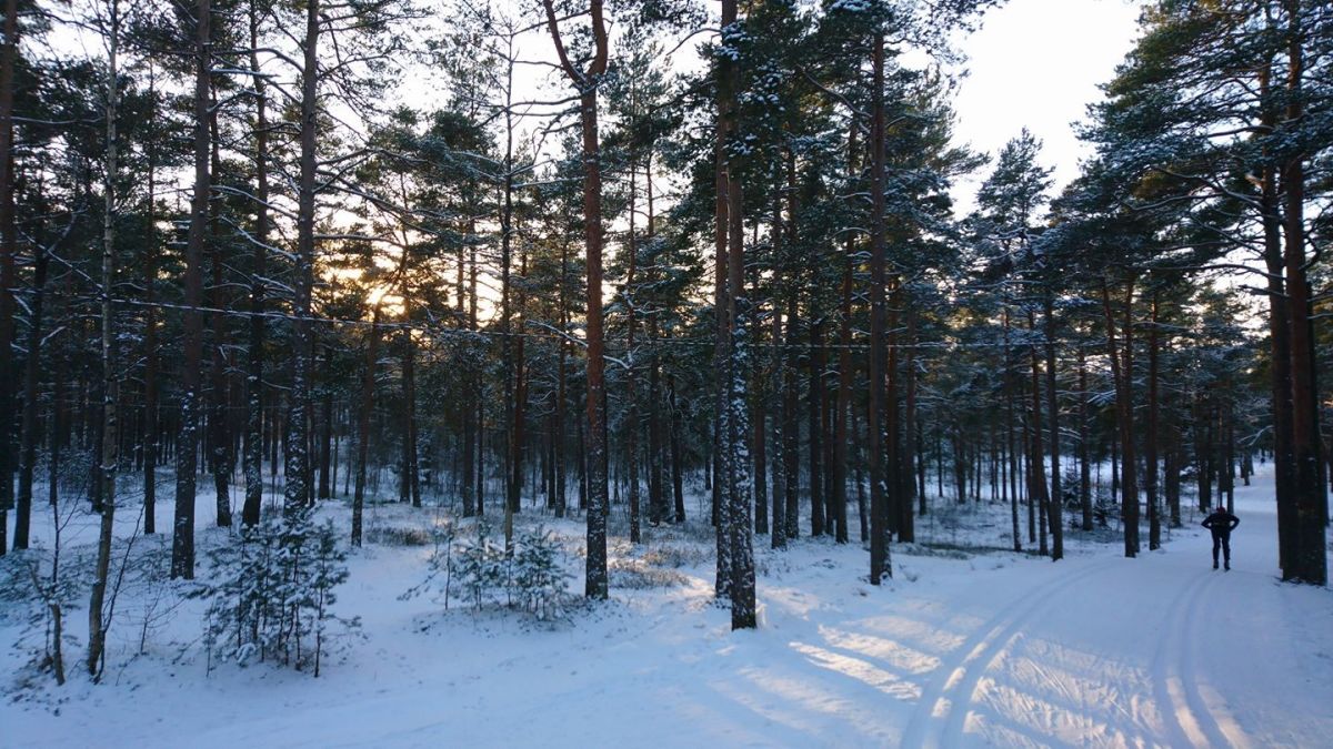 Ныммеский спортивный центр