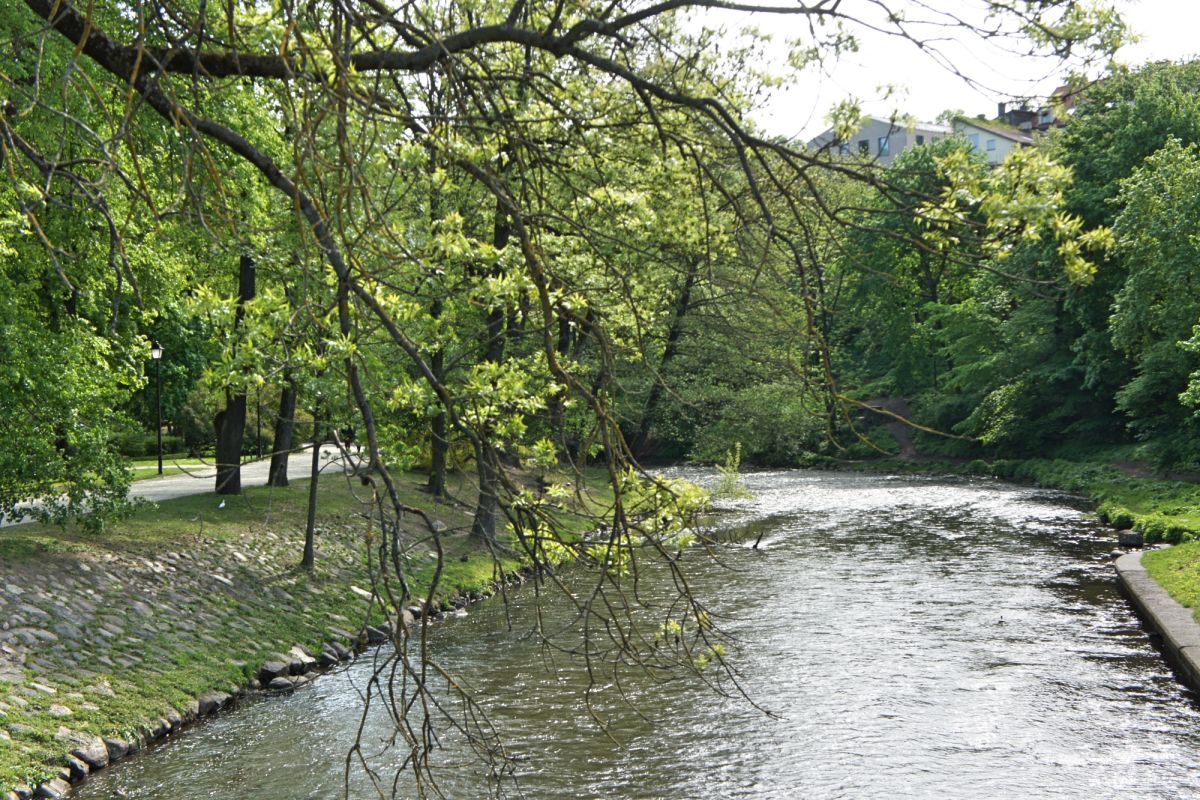 Бернардинский сад (Сад Bernardinų)