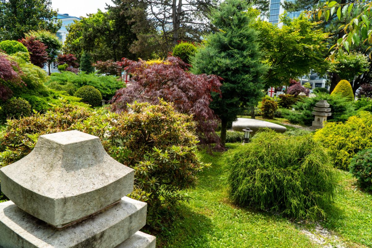 Японский сад в Батуми