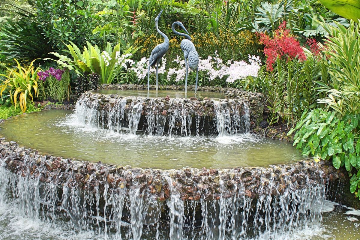 Сингапурский ботанический сад