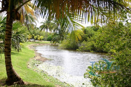 Ботанический парк королевы Елизаветы II