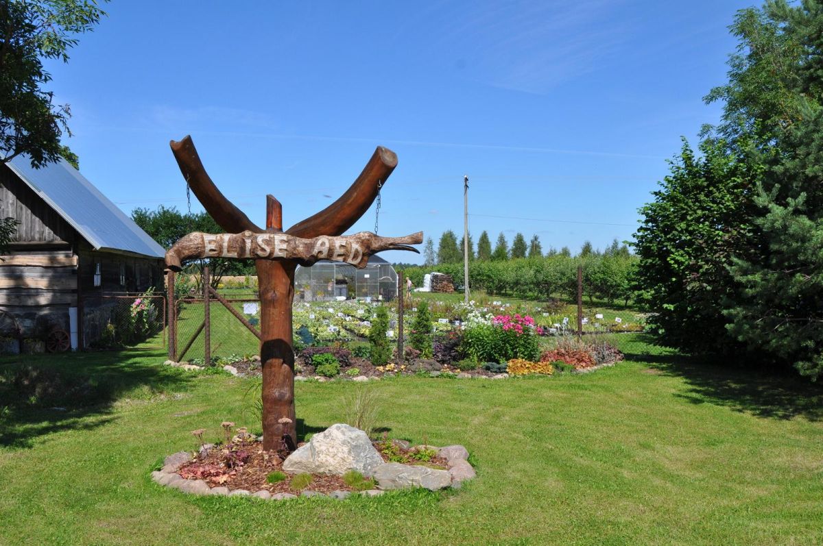 Питомник растений 