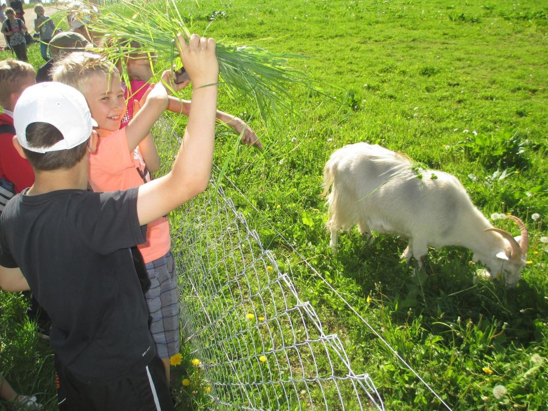Парк мызы Олуствере