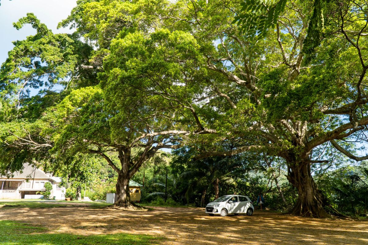 Церковь Святого Франциска Ассизского, Бэ-Лазар