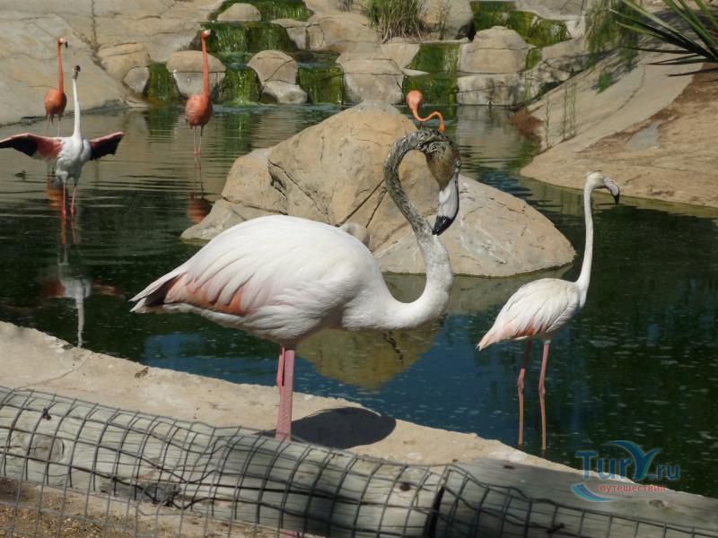 Заповедник 