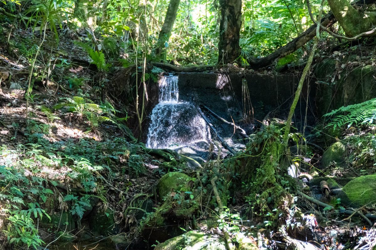 Салази Трейл