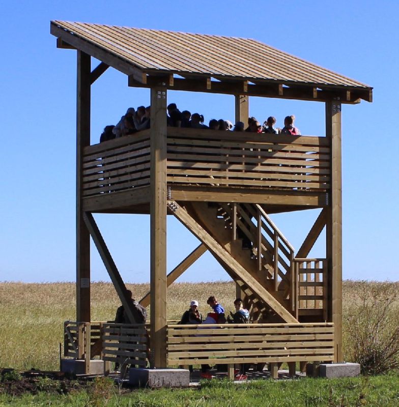 Башня для наблюдения за птицами в Вихасоо
